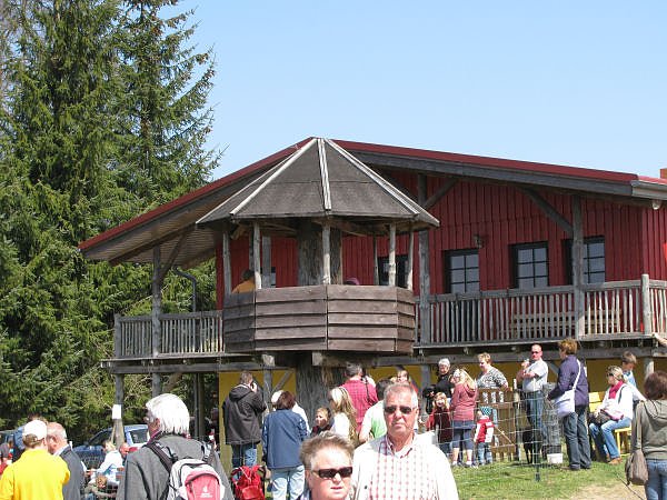 L&auml;mmer ausgetrieben