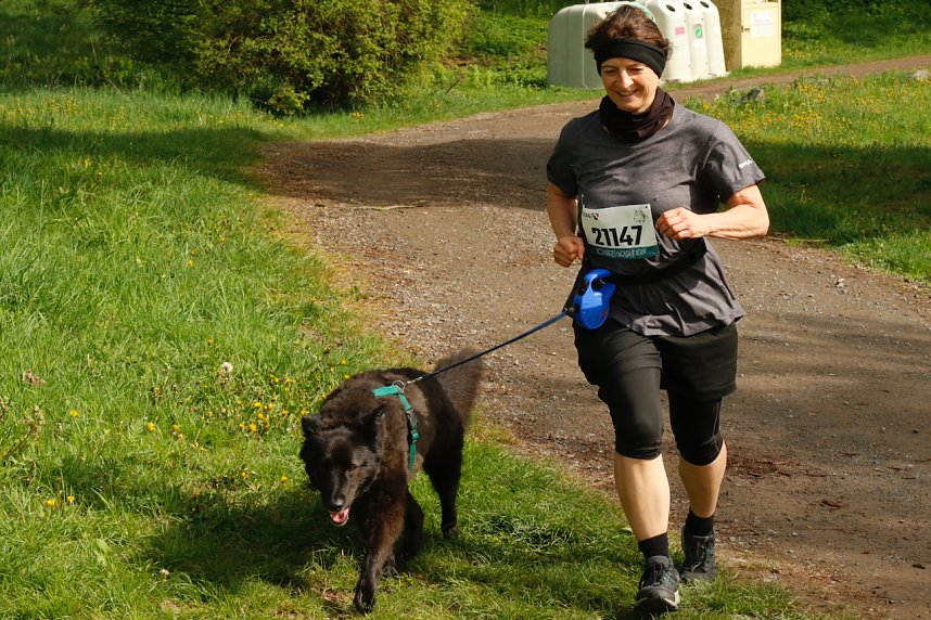 Startschuss f&uuml;r den 10. Harztorlauf