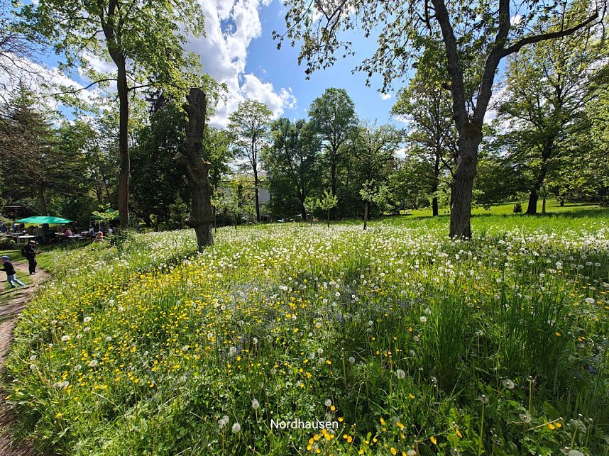 Peter Blei unterwegs beim Parkfest