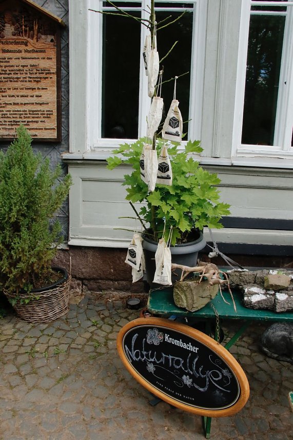 Im Park Hohenrode feierte man am Sonntag Parkfest und Parknick