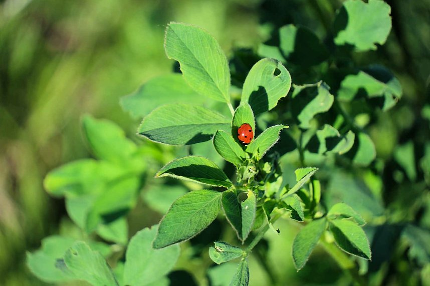 Peter Blei unterwegs oberhalb von Steigerthal