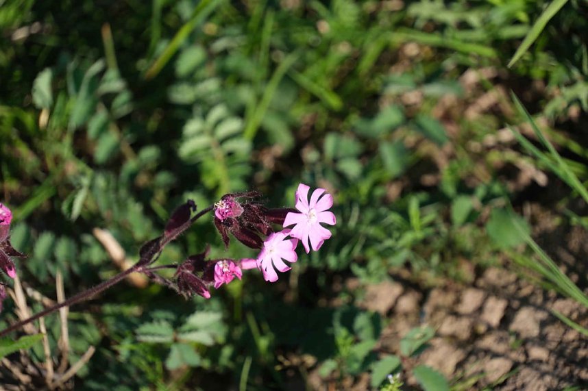 Peter Blei unterwegs oberhalb von Steigerthal