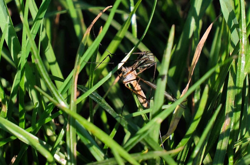 Peter Blei unterwegs oberhalb von Steigerthal