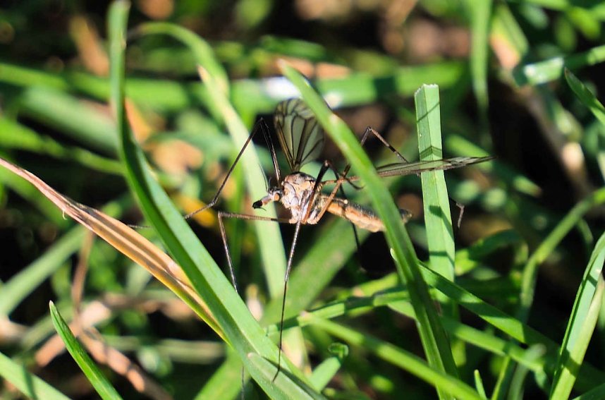 Peter Blei unterwegs oberhalb von Steigerthal