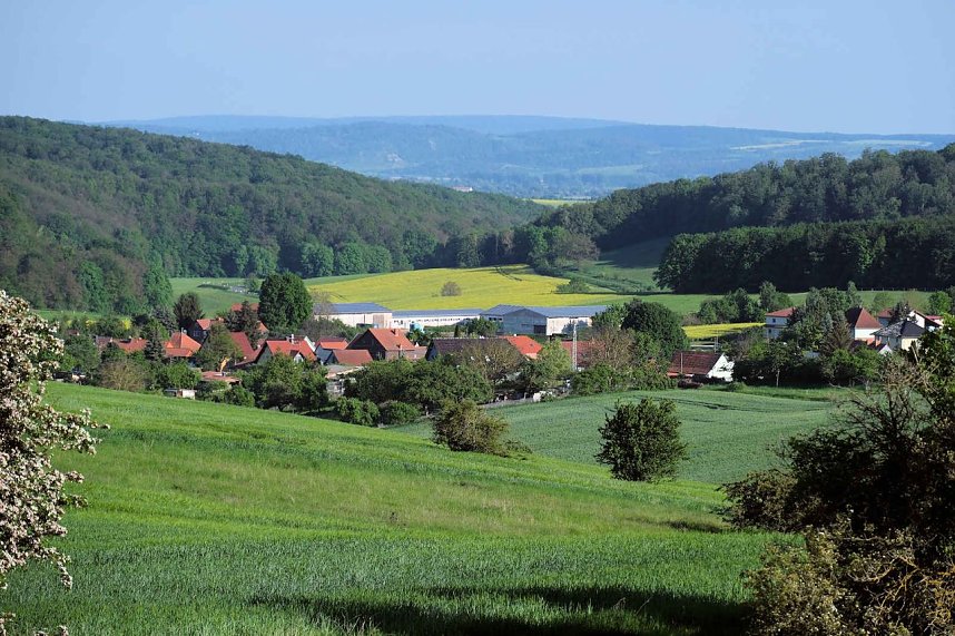 Peter Blei unterwegs oberhalb von Steigerthal