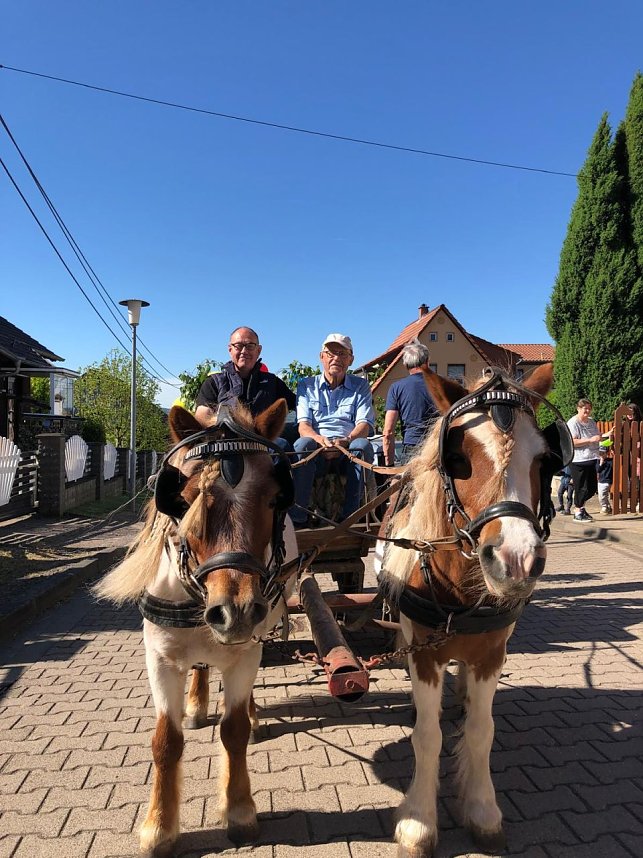 Besuch auf dem Ponyhof
