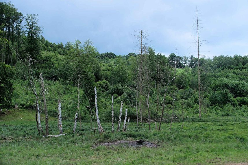Peter Blei unterwegs in der Windl&uuml;cke