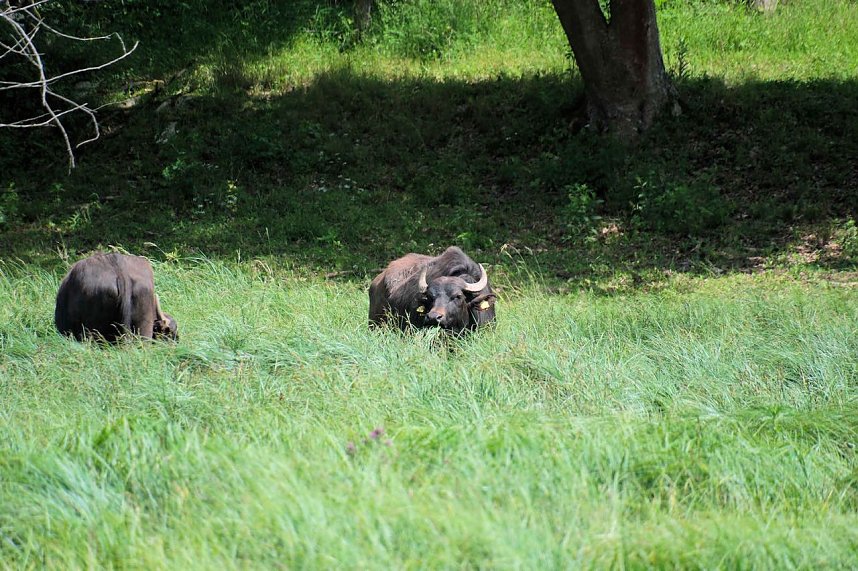 Peter Blei unterwegs in der Windl&uuml;cke
