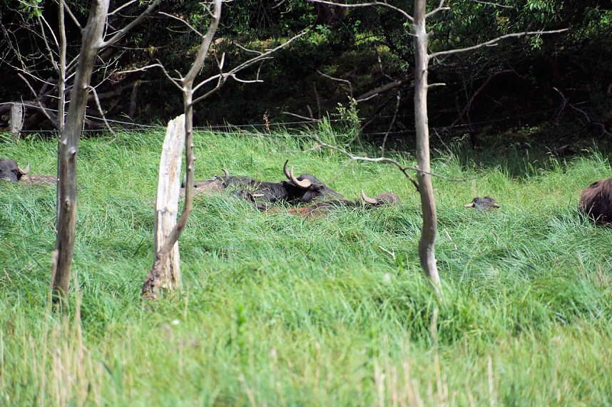 Peter Blei unterwegs in der Windl&uuml;cke