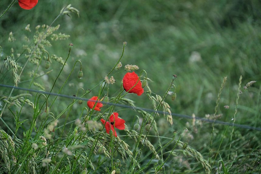 Peter Blei unterwegs in der Windl&uuml;cke
