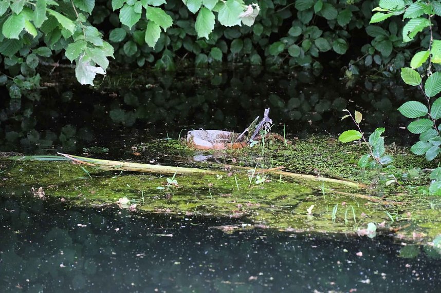 Peter Blei unterwegs in der Windl&uuml;cke