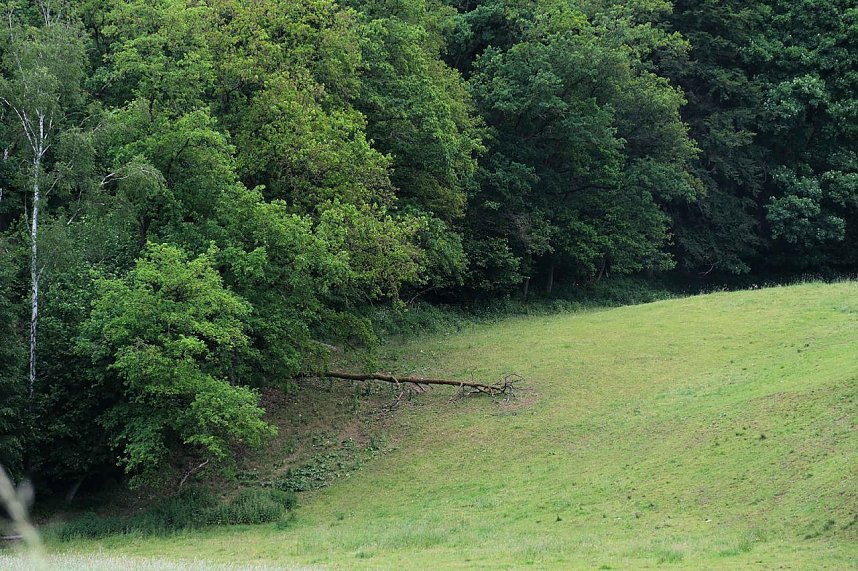 Peter Blei unterwegs in der Windl&uuml;cke