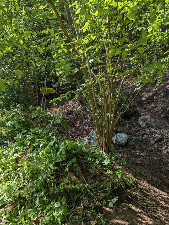 Wasserbau in S&uuml;lzhayn