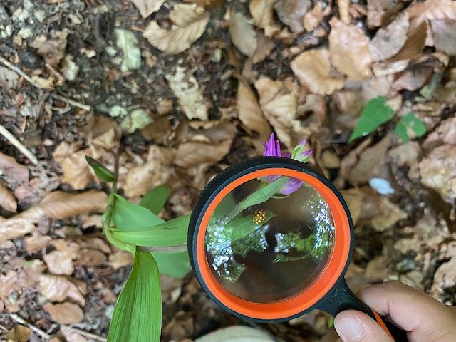 15 Gruppen sind auf Entdeckermission