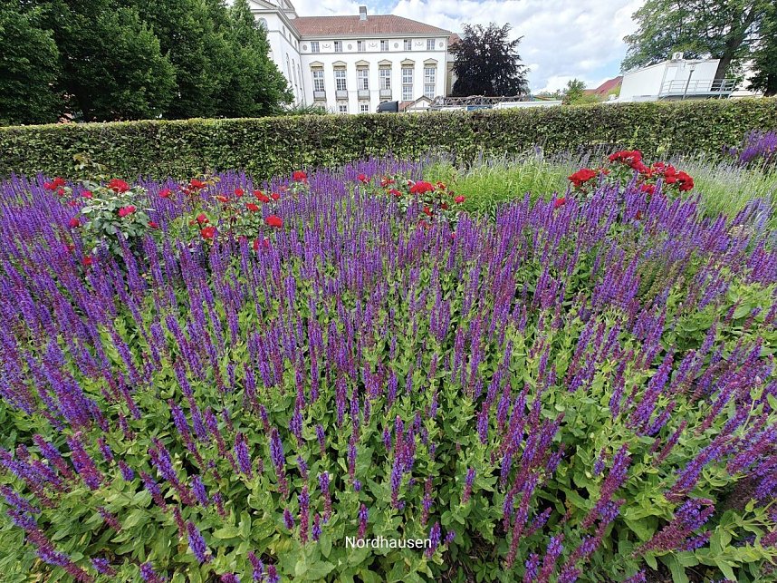 Gr&uuml;nanlagen in Nordhausen