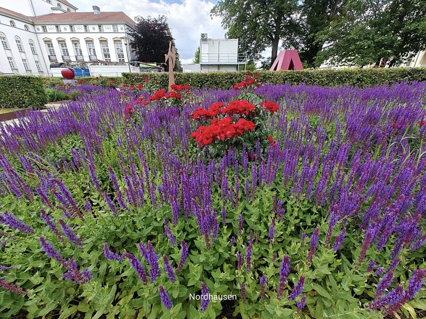 Gr&uuml;nanlagen in Nordhausen