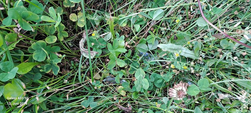 Verh&uuml;llter Spielplatz in Salza