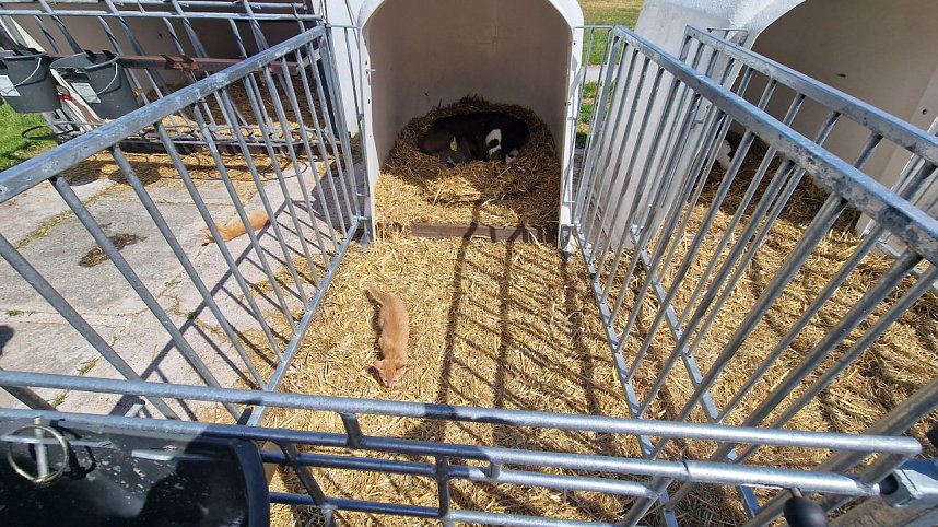 Hoffest in Obersachswerfen