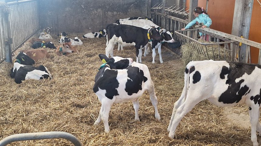 Hoffest in Obersachswerfen