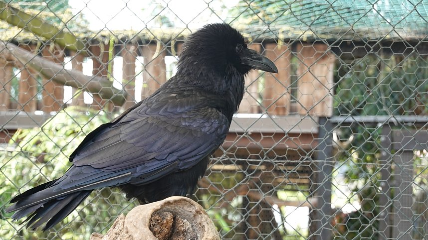 Offener Garten in Uthleben