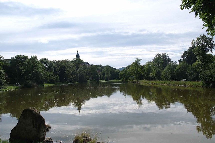 Peter Blei unterwegs auf Schwanensuche