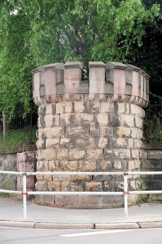 Peter Blei unterwegs auf Schwanensuche