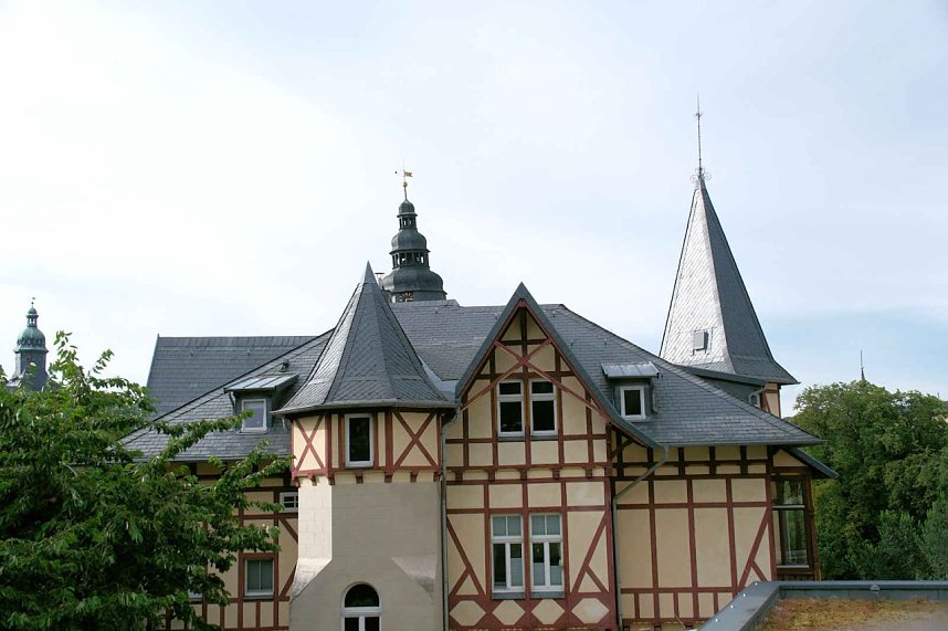 Peter Blei unterwegs auf Schwanensuche