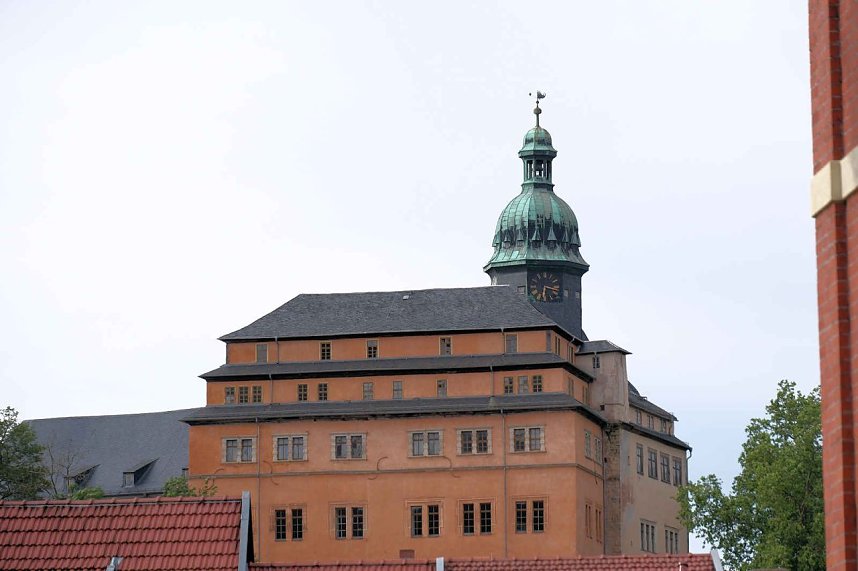 Peter Blei unterwegs auf Schwanensuche