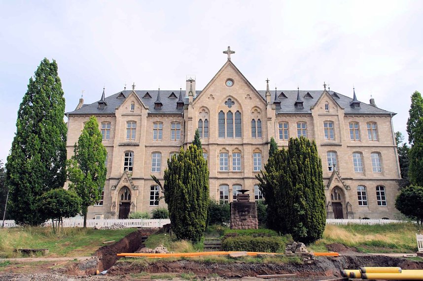 Peter Blei unterwegs auf Schwanensuche