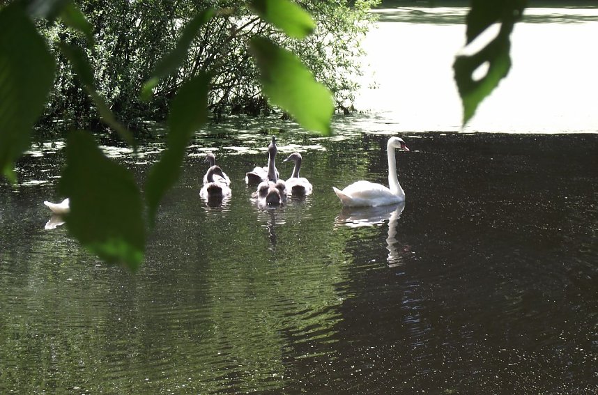 Bei Steinsee unterwegs