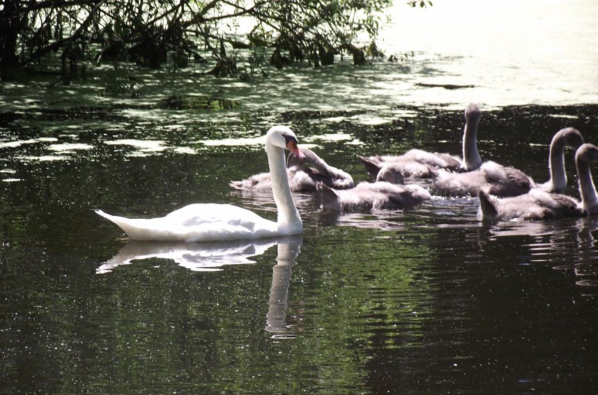 Bei Steinsee unterwegs