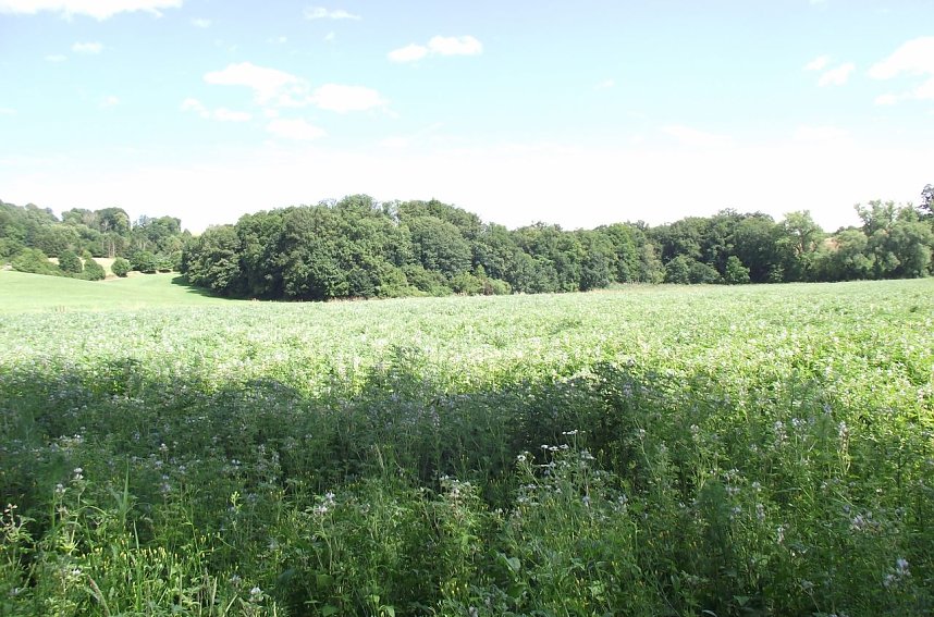 Bei Steinsee unterwegs
