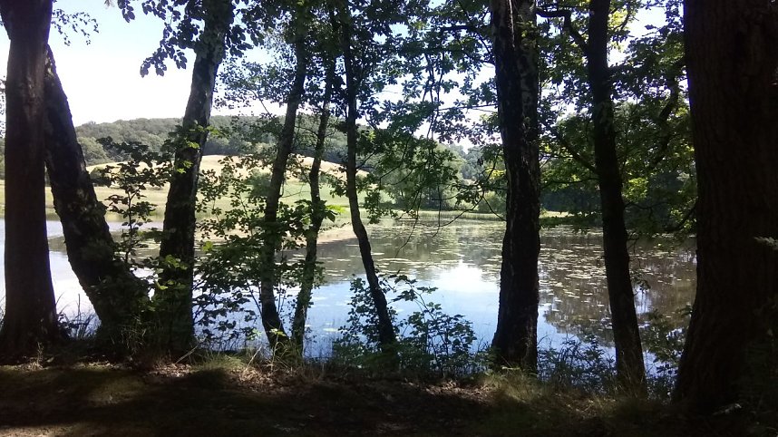 Bei Steinsee unterwegs