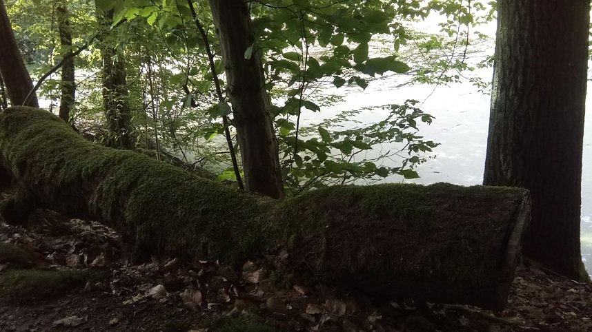 Bei Steinsee unterwegs