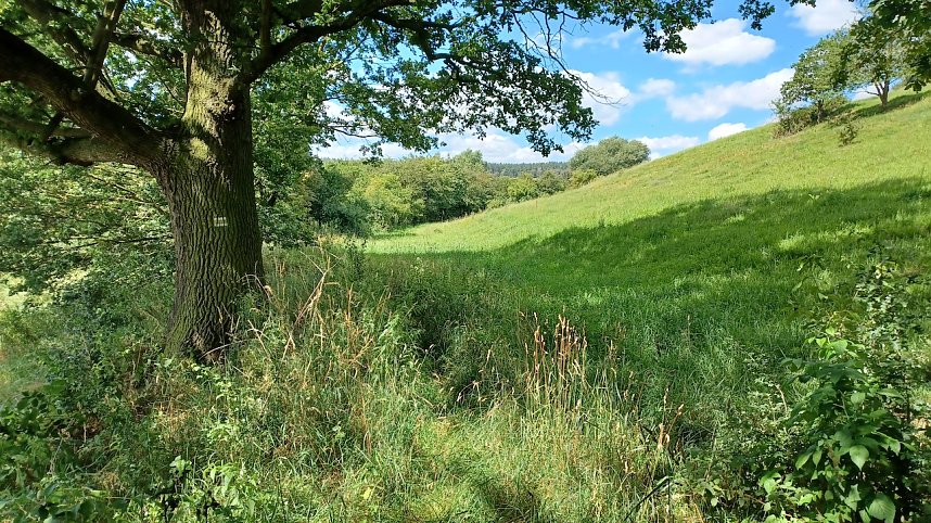 R&uuml;diger Neitzke erkundet das sch&ouml;ne Th&uuml;ringen