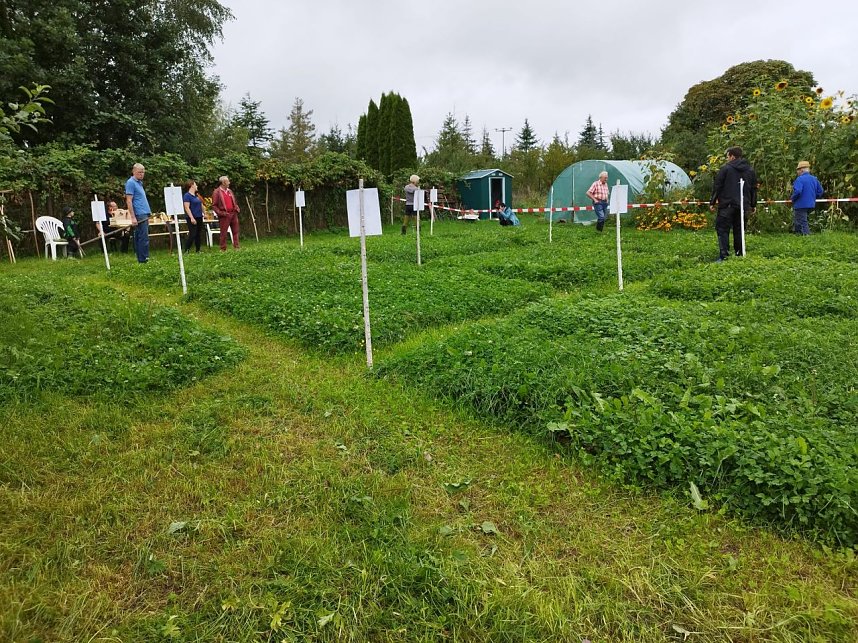 Sensenmeisterschaften in Kehmstedt