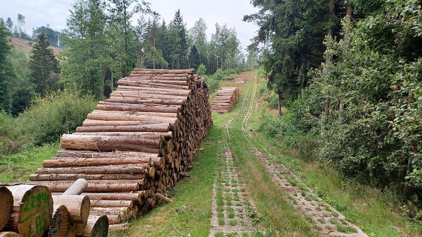 Unterwegs per pedes in Th&uuml;ringen
