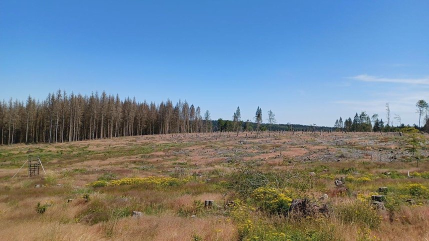 Unterwegs per pedes in Th&uuml;ringen