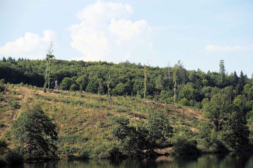 Peter Blei unterwegs an der Neust&auml;dter Talsperre