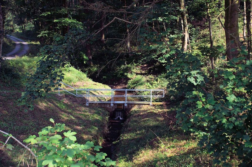 Peter Blei unterwegs an der Neust&auml;dter Talsperre