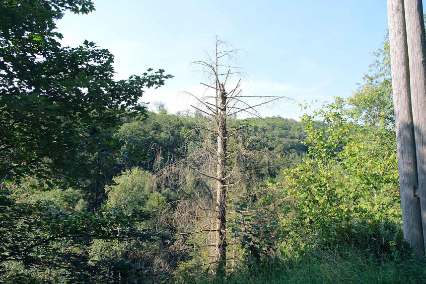 Peter Blei unterwegs an der Neust&auml;dter Talsperre
