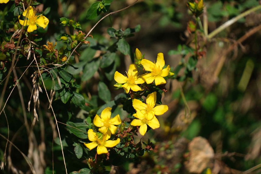 Peter Blei unterwegs an der Neust&auml;dter Talsperre