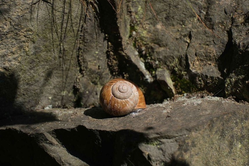 Peter Blei unterwegs an der Neust&auml;dter Talsperre