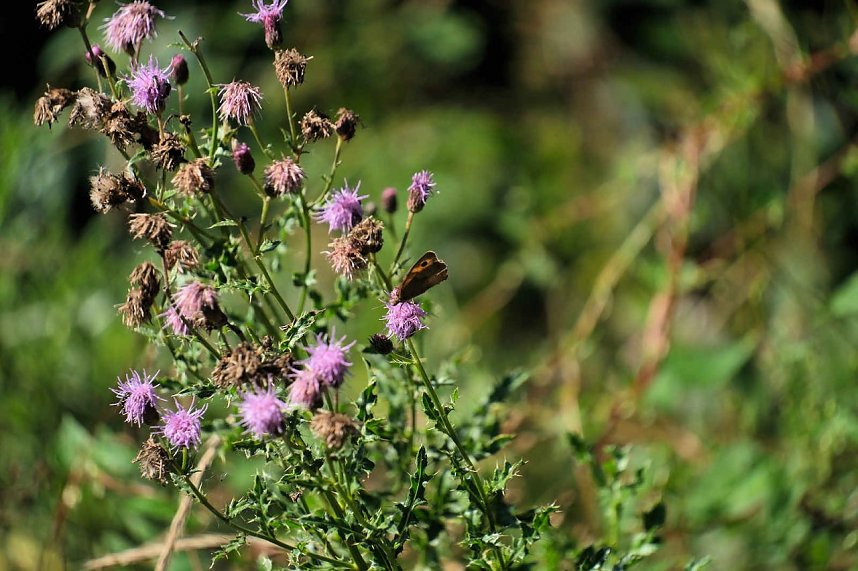 Peter Blei unterwegs an der Neust&auml;dter Talsperre
