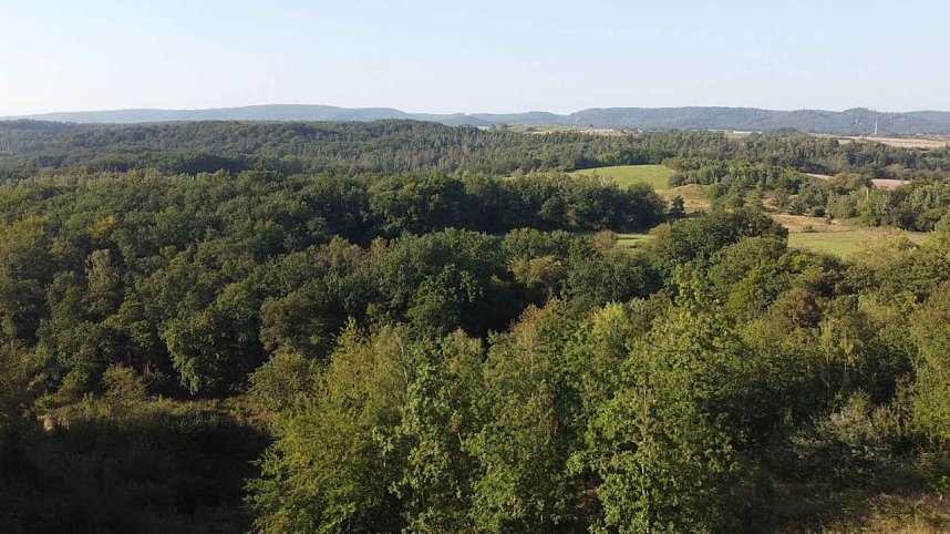 Peter Blei unterwegs in der Windl&uuml;cke