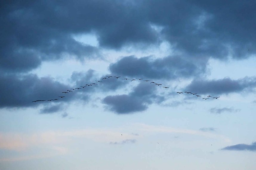 Erster Besuch der Saison