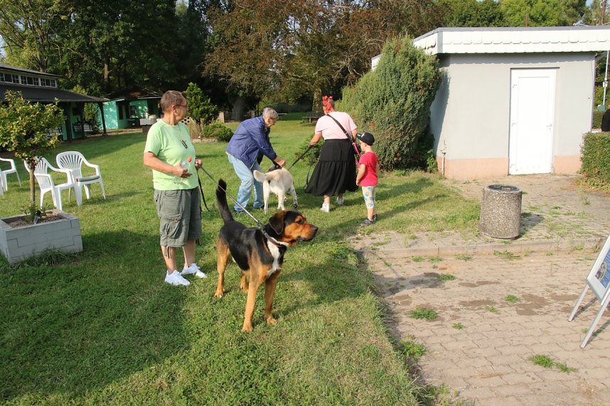 Hundebaden im Salzaquellbad