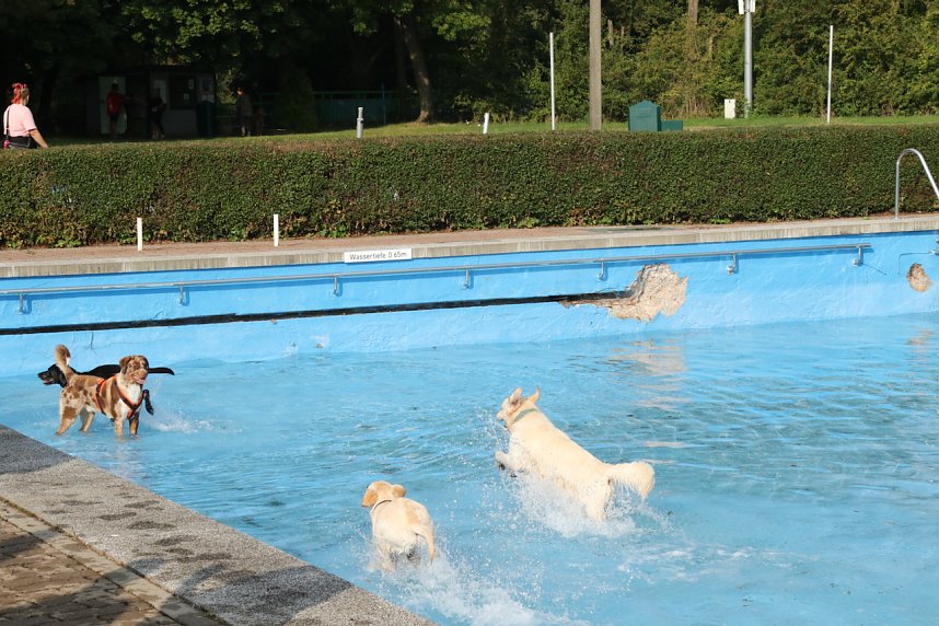 Hundebaden im Salzaquellbad