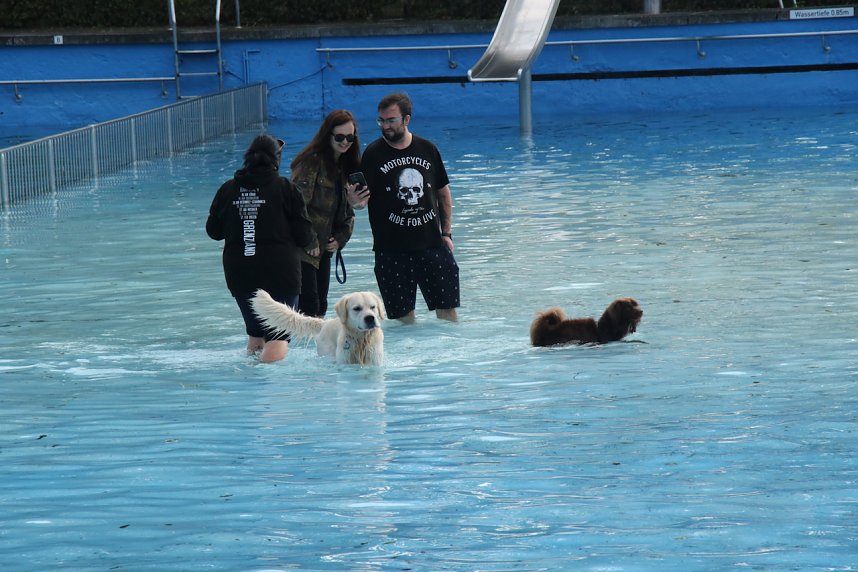 Hundebaden im Salzaquellbad