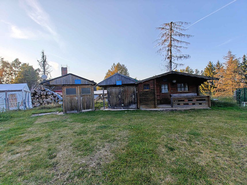 Peter Blei beim Waldspaziergang